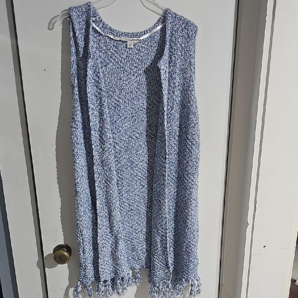 Blue Vest